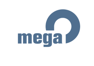 Mega International